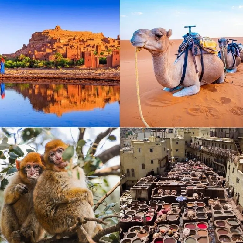 Desert Tours from Casablanca