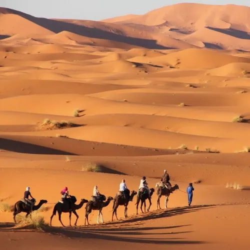 Camel trekking experience during Marrakech desert trips