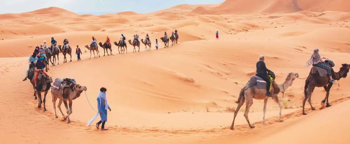 Camel caravan trekking through the Erg Chebbi dunes at sunset on the way to the Merzouga desert camp.